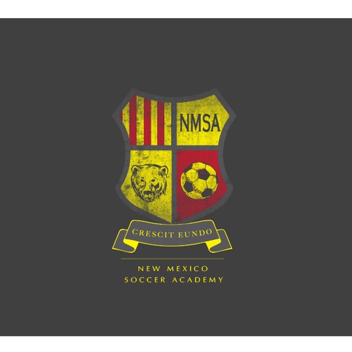 New logo wanted for New Mexico Soccer Academy