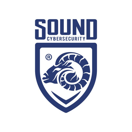 Sound Security