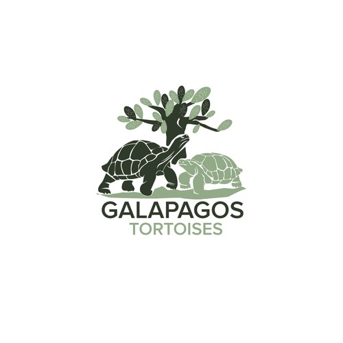 Galapagos Tortoises