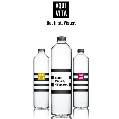 Logo concept for premium water brand