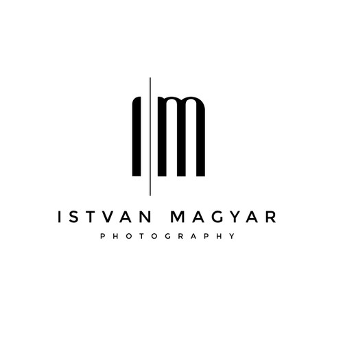 Design a sleek and classy logo for an artistic photography business