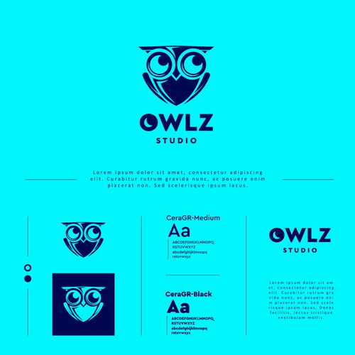 Owlz Studio