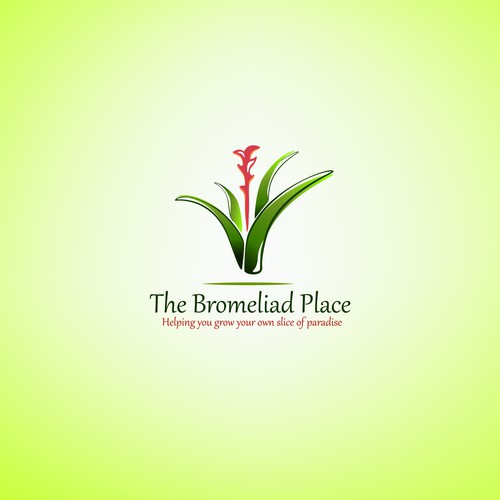 The Bromeliad Place needs a new logo