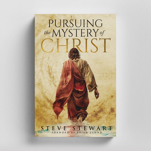 Book Cover for Pursuing The Mistery Of Christ