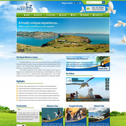 New website design wanted for Royal Albatross Center