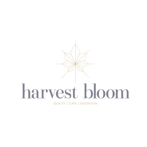 non- leaf logo for medical marijuana boutique collective