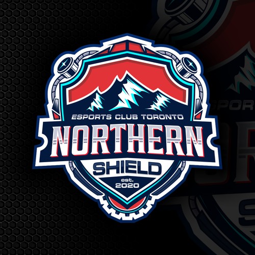 Northern Shield logo esports team