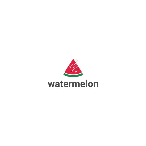 Logo concept for IT company