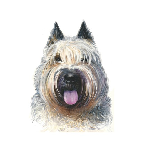 BOUVIER