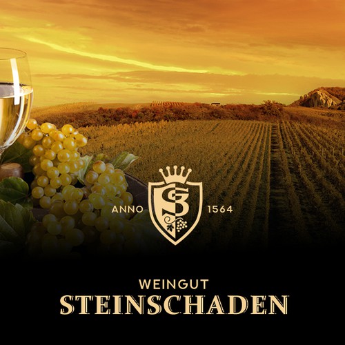 Logo redesign concept for Steinschaden 