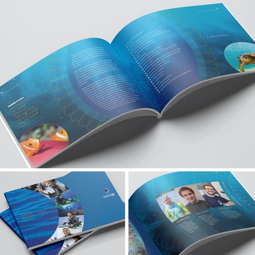 Annual Report design