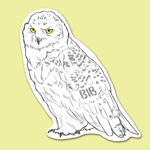 Owl Illustration