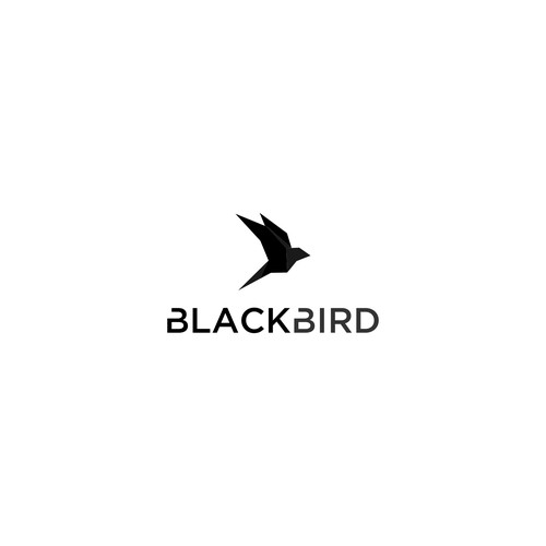 black bird (manuk ireng)