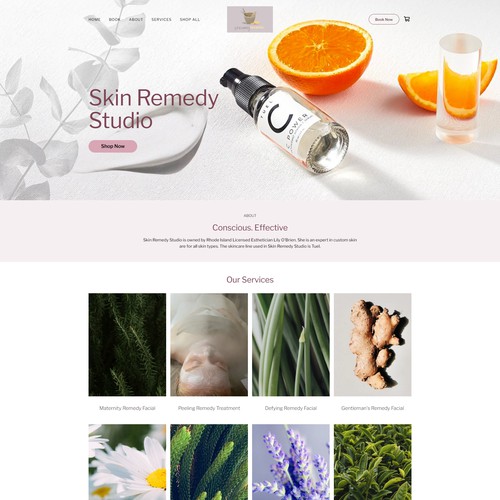 Skin Remedy - Natural Beauty studio/ Square online ordering site