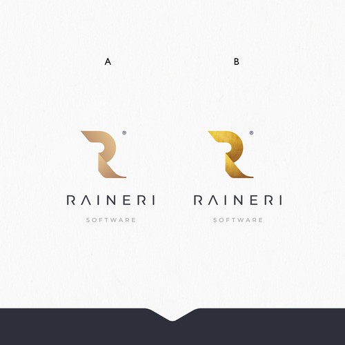 Branding & Full CI package for  'RAINERI SOFTWARE'