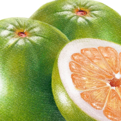 Realistic pomelo illustration