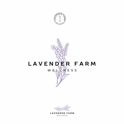 lavender farm