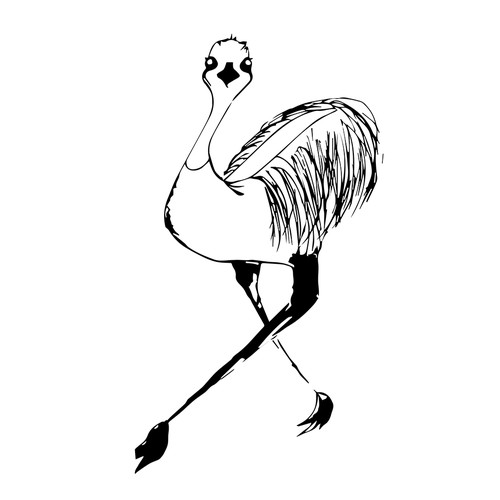 A simple illustration of an Australian animal for a card to raise money for reforestation