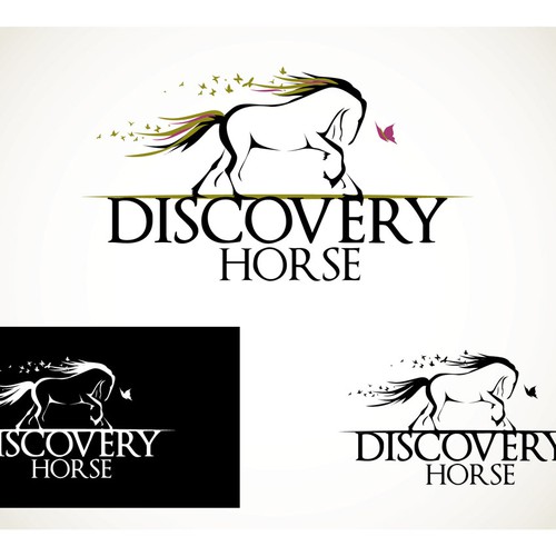 AWESOME Logo for Changing Lives with Horses - Equine Assisted Life Coaching