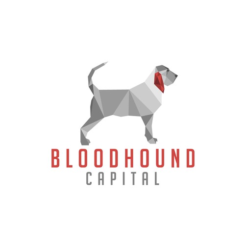 Bloodhound Capital