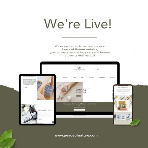 Holistic Skincare Branding & Website Design