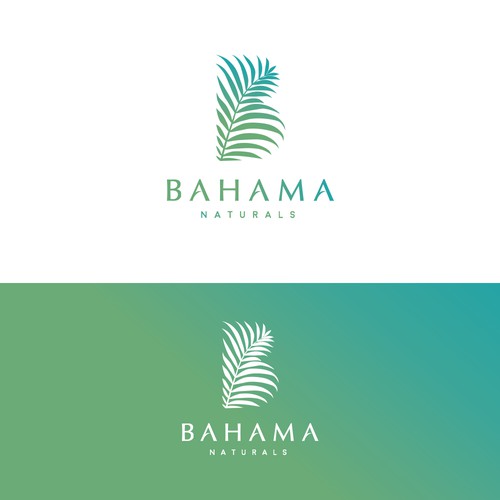 Elegant yet fun logo for Bahama Naturals