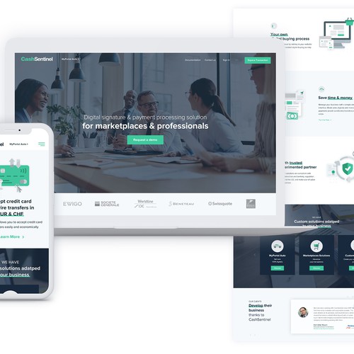 CashSentinel website design