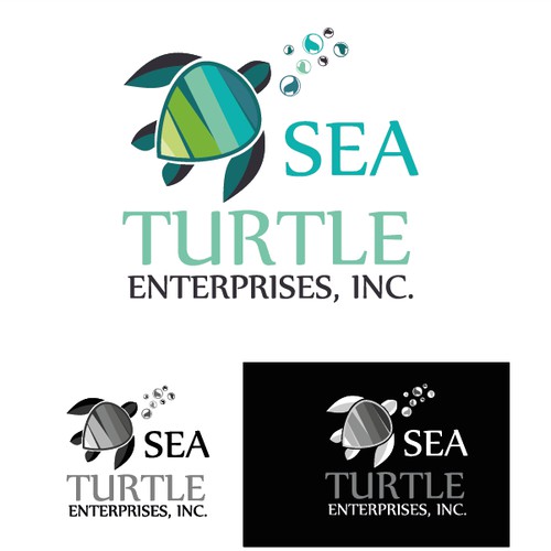 Create a Logo for a company who's legacy will help endangered Sea Turtles.
