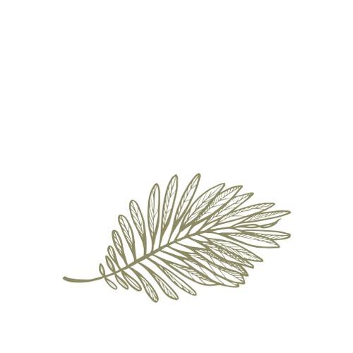 THE PALM