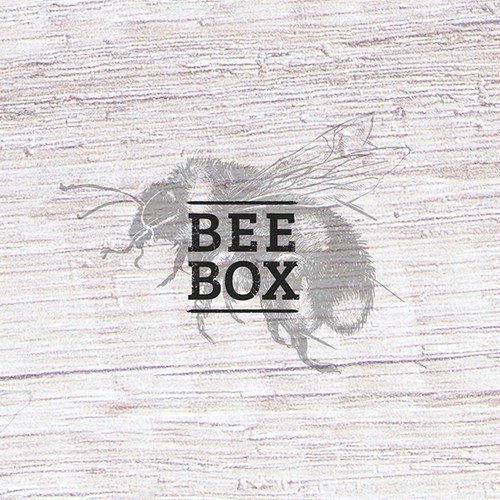 BEE BOX logo concept