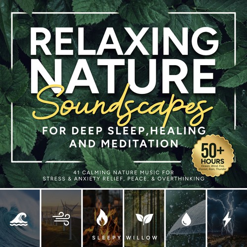 Relaxing Nature Soundscapes Audio Book Cover