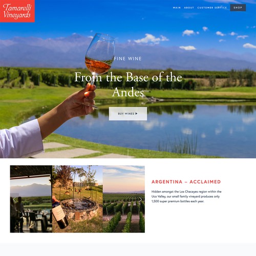 Website  Design + Dev For Wine Label // Tamarelli Vineyards
