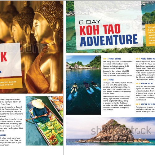 DPS for Travel Brochure