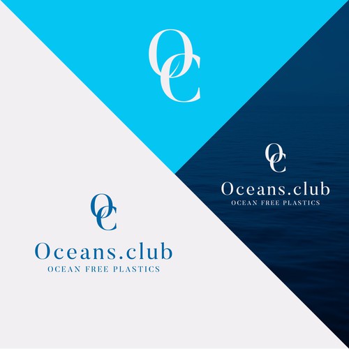 Classy logo concept for an enterprise