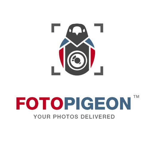 Fotopigeon