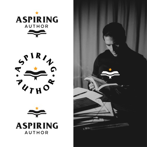 Aspiring Author
