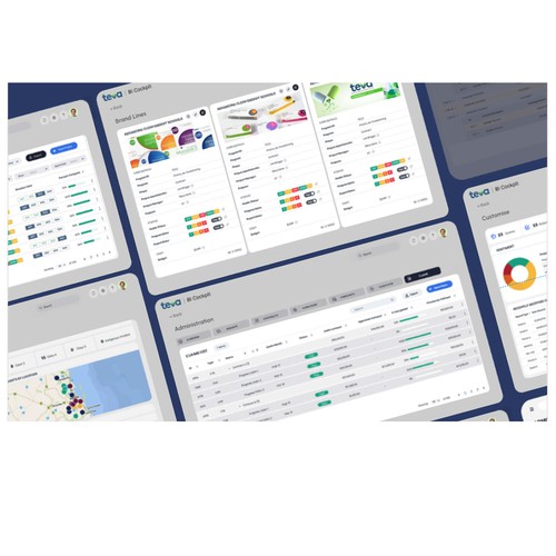 Teva's Bespoke Business Intelligence Dashboard: Other Screens