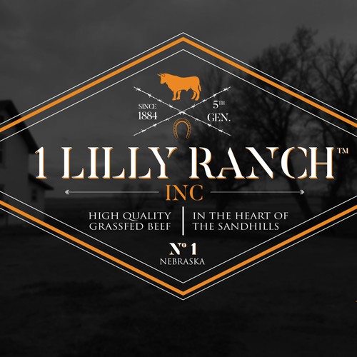 Ranch Logo for 1 Lilly Ranch Inc