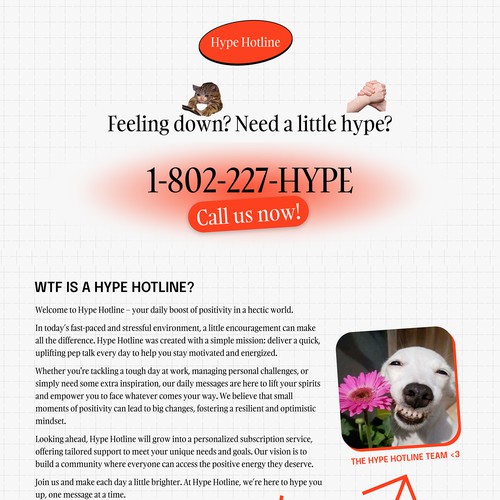 Website Design