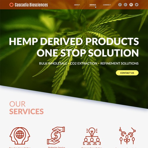 Bold cannabis-industry related web design