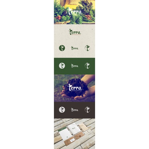 Create a logo for a new natural foods and supplement store called "terra.".