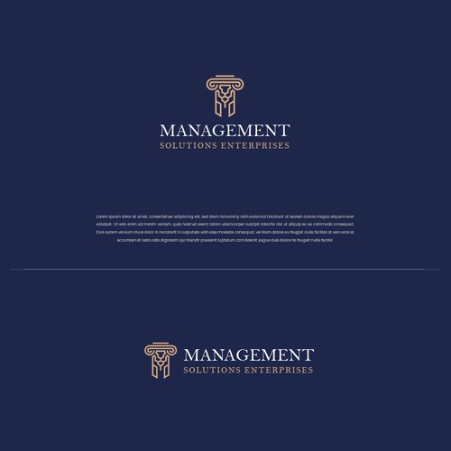 Management Solutions Enterprises