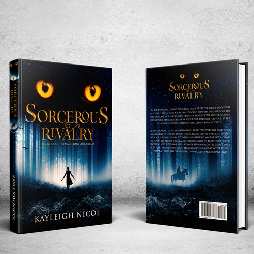 Debut Author Seeks Epic Fantasy Cover Art