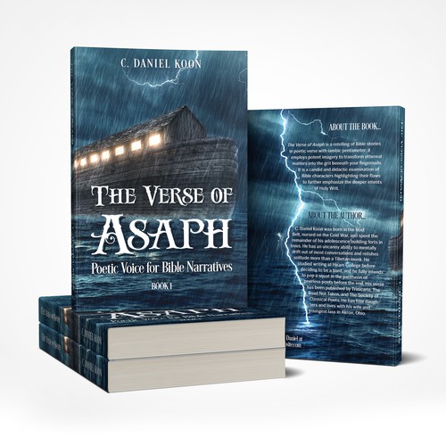 Dramatic cover proposal for a Biblical retelling