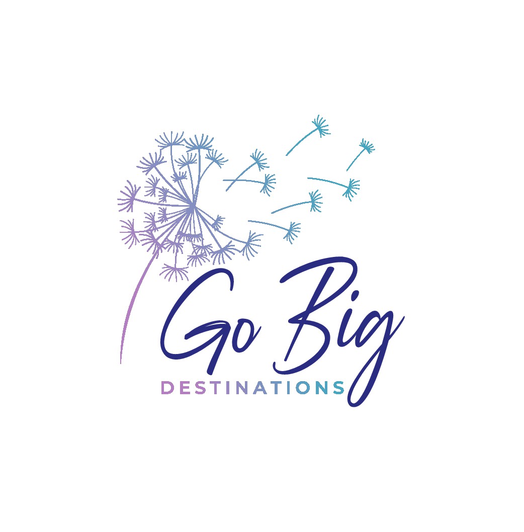 New travel agent business needs logo design