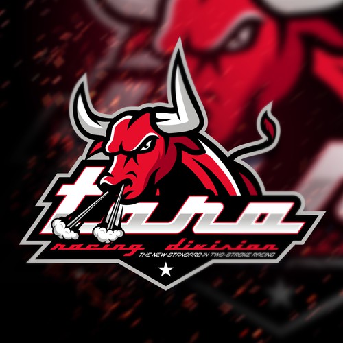 Toro Racing Division