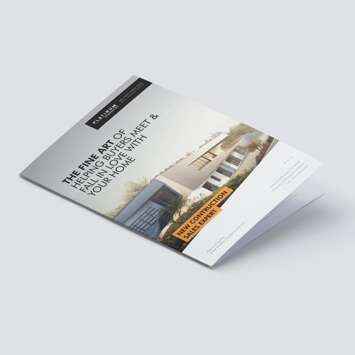 Platinum - Brochure Design