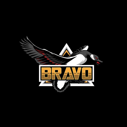 Nightfall series logos 2020 ( BRAVO)