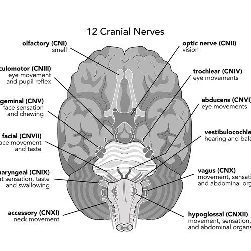 Illustration for technical manual