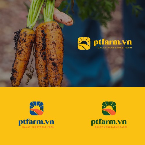 Logo Design